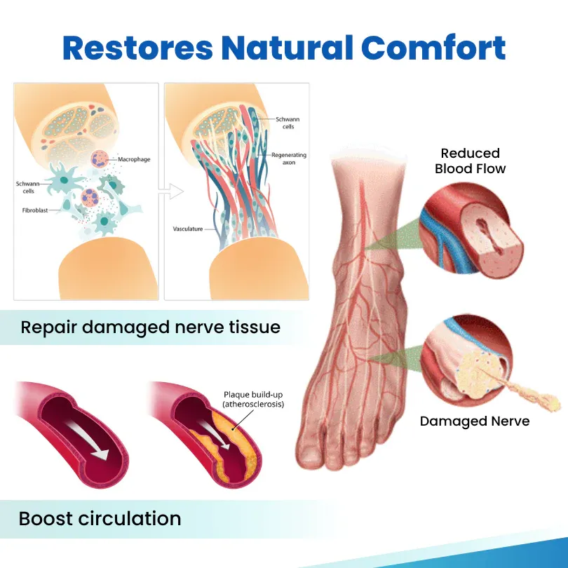 imgi_86_9_8fc534ad-d77e-4adf-82c2-8414570d35c3