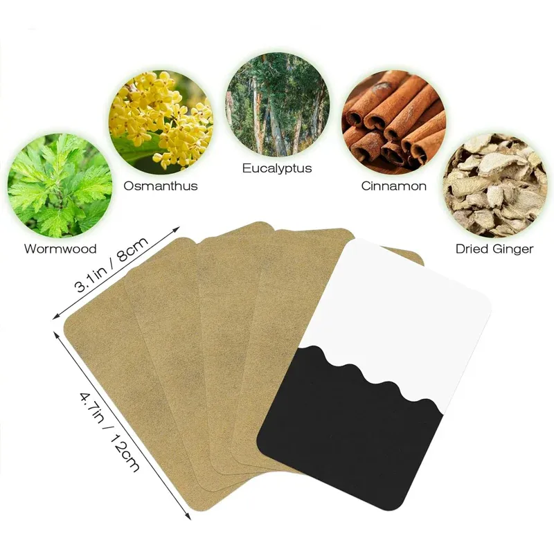 imgi_40_spp_shopify20251202185847_edd021a3cf003f8c9f12e43028a69c35