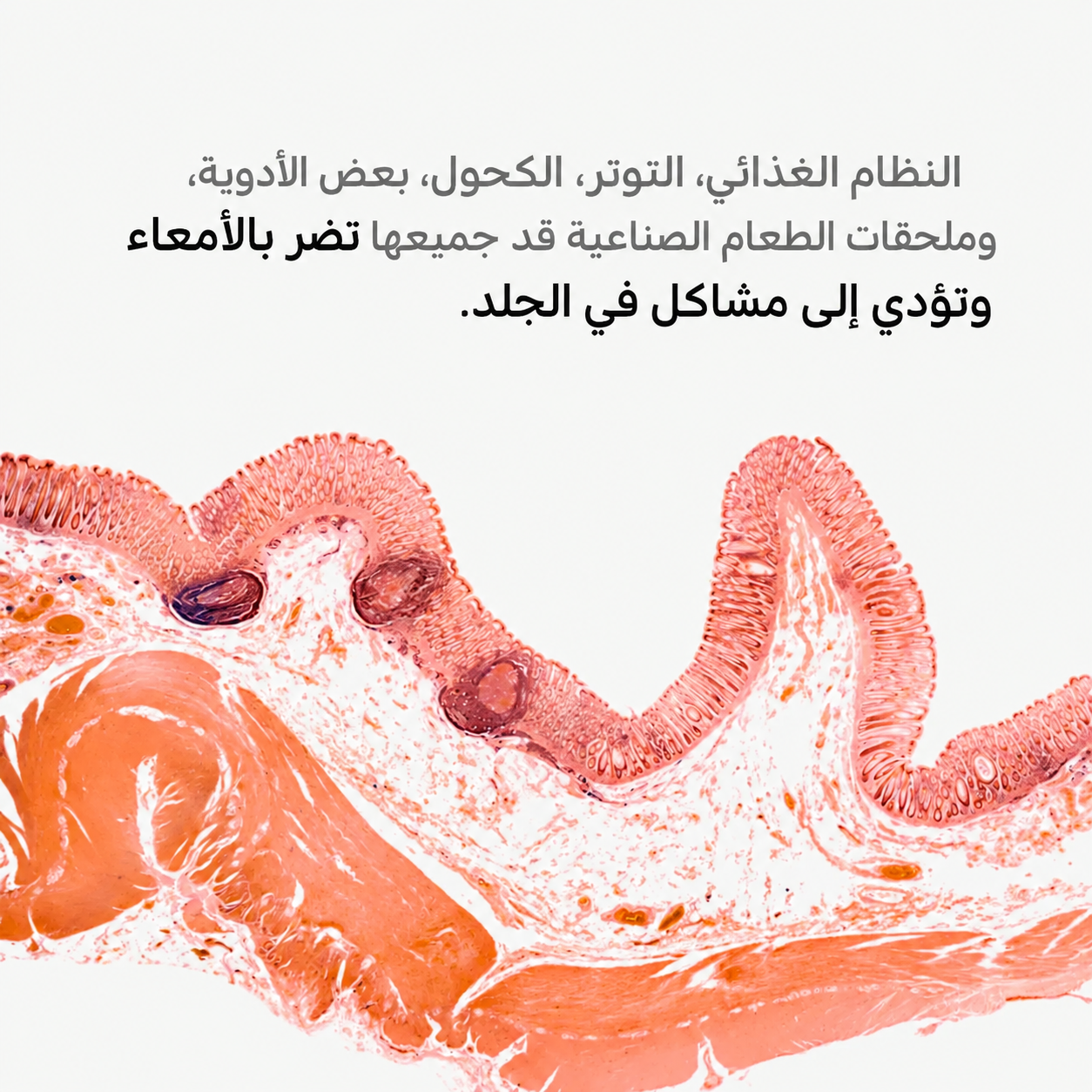 ec987223-d975-4b3d-b7ca-bc5ecf1f12b2